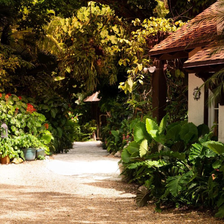 Garden Miami Wedding Ceremony Lush garden pathway lined with vibrant plants and cozy cottages.